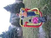 zv�t�it
